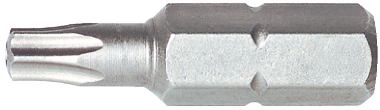 NASTAVAK TORX H20/25MM