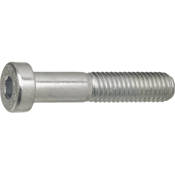 IMBUS VIJAK DIN7984 M6X50 ZN 100 kom